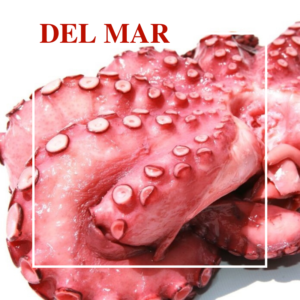 Majado Gourmet - Del Mar